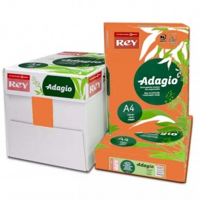 Rey Adagio Renkli Fotokopi Kağıdı A4 80 GR Turuncu 21 (K)