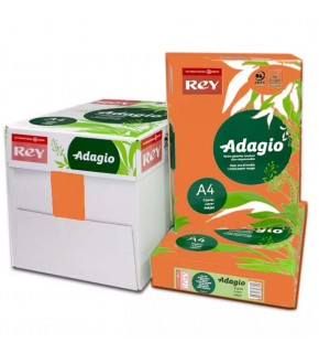 Rey Adagio Renkli Fotokopi Kağıdı A4 80 GR Turuncu 21 (K)