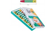 Adel Pastel Boya 12 Renk 2025 2280 000005