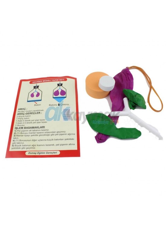 Akciğer Set 5678 Akciğer Set 5678