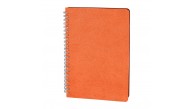 AKYURT TURUNCU SPİRALLİ TARİHSİZ DEFTER (13X21 CM)