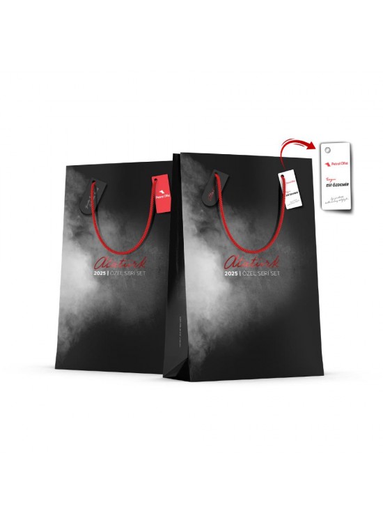 ALA-43 BÜYÜK BOY DİKEY KARTON ÇANTA