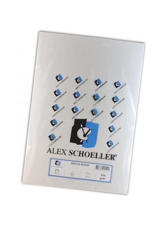 Alex A.Bristol Karton 210gr 35x50 100 lü ALX-0121