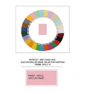 Alex Schoeller Fon Kartonu 160 GR 25x35 No:10 Pembe 100 Lü