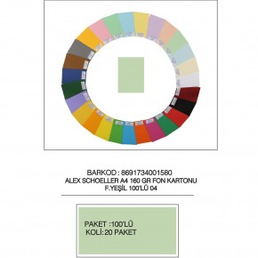 Alex Schoeller Fon Kartonu 160 GR A4 04 Fıs Yeşili (1 Adet)