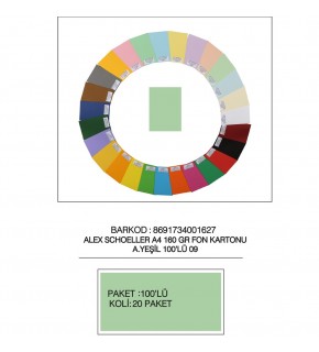 Alex Schoeller Fon Kartonu 160 GR A4 09 A Yeşil (1 Adet)