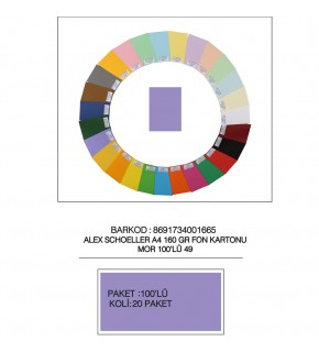 Alex Schoeller Fon Kartonu 160 GR A4 49 Mor (1 Adet)