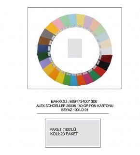 Alex Schoeller Fon Kartonu 25x35 No:01 Beyaz 100 Lü