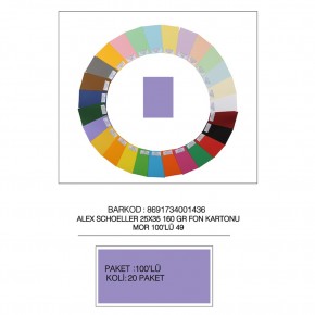 Alex Schoeller Fon Kartonu 25x35 No:49 Mor 100 Lü