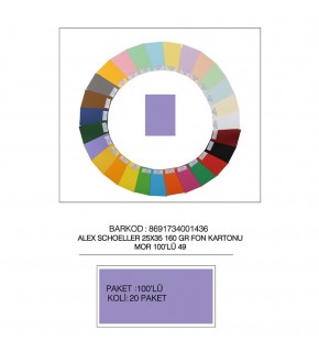 Alex Schoeller Fon Kartonu 25x35 No:49 Mor 100 Lü