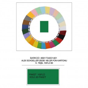 Alex Schoeller Fon Kartonu 25x35 No:60 K.Yeşil 100 Lü