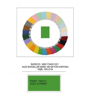 Alex Schoeller Fon Kartonu 35x50 No:54 Yeşil 100 Lü Alx-2754