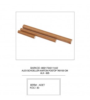 Alex Schoeller Proje Tüpü Karton 76x100 CM 825