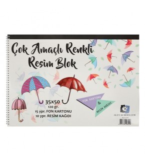 Alex Schoeller Resim Defteri Spiralli Çok Amaçlı 15 YP 35x50 120 GR ALX-0299