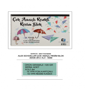 Alex Schoeller Resim Kağıdı+ Fon Karton Spiralli 25 YP 25x35 120 GR ALx-0589