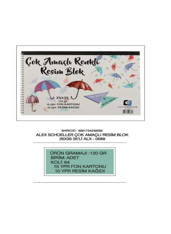 Alex Schoeller Resim Kağıdı+ Fon Karton Spiralli 25 YP 25x35 120 GR ALx-0589