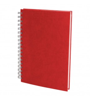 ALTINDAĞ KIRMIZI KARELİ SPİRALLİ TARİHSİZ DEFTER (17X24 CM)