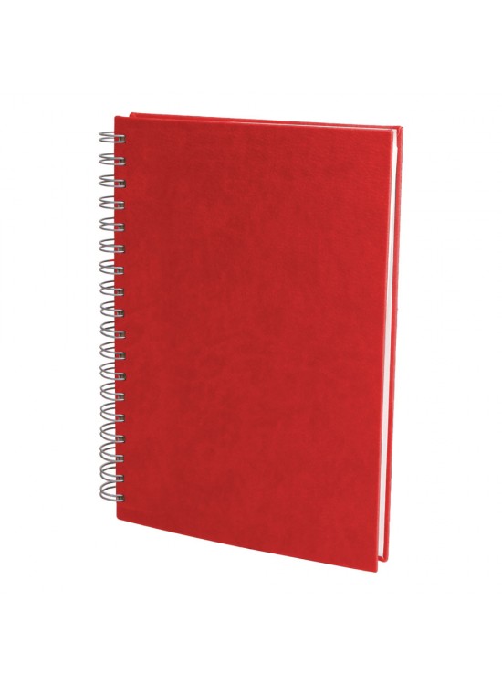 ALTINDAĞ KIRMIZI KARELİ SPİRALLİ TARİHSİZ DEFTER (17X24 CM) ALTINDAĞ KIRMIZI KARELİ SPİRALLİ TARİHSİZ DEFTER (17X24 CM)