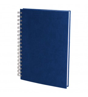ALTINDAĞ LACİVERT KARELİ SPİRALLİ TARİHSİZ DEFTER (17X24 CM)