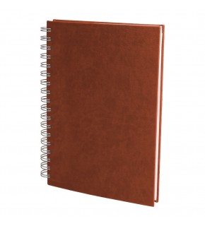 ALTINDAĞ TABA KARELİ SPİRALLİ TARİHSİZ DEFTER (17X24 CM)