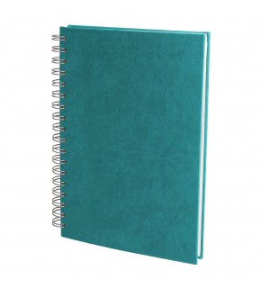 ALTINDAĞ TURKUAZ KARELİ SPİRALLİ TARİHSİZ DEFTER (17X24 CM)