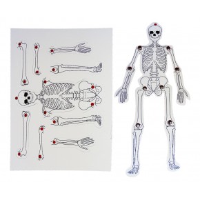 Anadolu Hareketli İskelet 35Cm Mukavva (1 Adet)