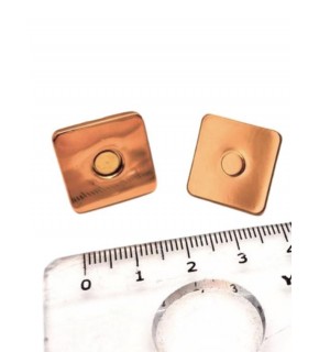 Çanta Aksesuar Kare Model Çanta Mıknatısı Light Gold Renk