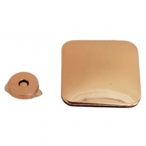 Çanta Aksesuar Light Gold Renk 5x4.5 cm Mıknatıslı Kilit