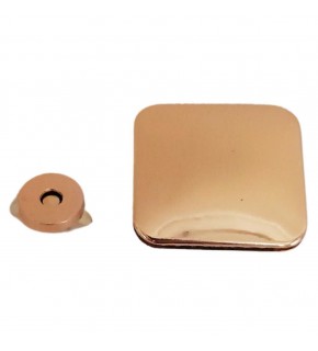 Çanta Aksesuar Light Gold Renk 5x4.5 cm Mıknatıslı Kilit