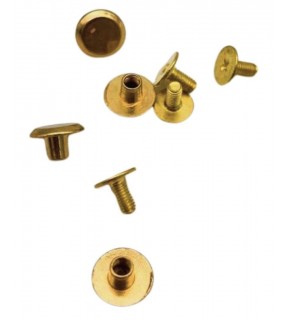 Çanta Aksesuar Vidalı Trok Rivet Light Gold Renk 4 Adet