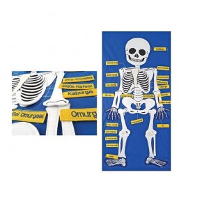 Anki Cırtlı İskelet Pano And-5119