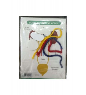 Anki Toys Boşaltım Sistemi