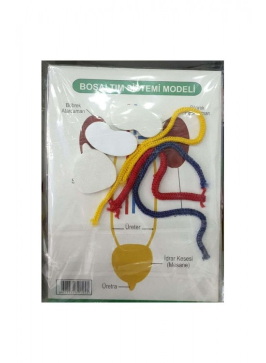 Anki Toys Boşaltım Sistemi