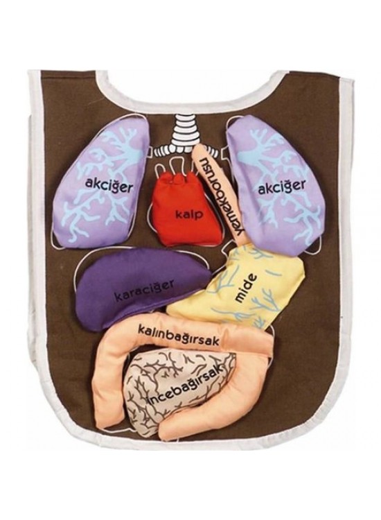 Anki Toys Cırtlı Eğitici Organ Önlüğü And-5011 Anki Toys Cırtlı Eğitici Organ Önlüğü And-5011