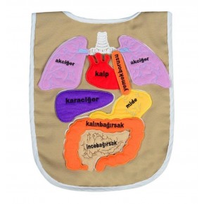 Anki Toys Cırtlı Eğitici Organ Önlüğü And-5011