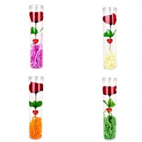 Asetat Kutulu Tekli Gül Silindir (1 Adet)