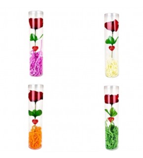 Asetat Kutulu Tekli Gül Silindir (1 Adet)