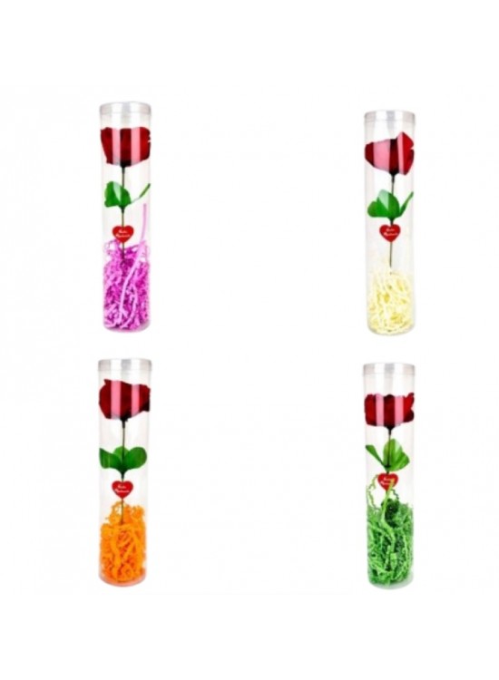 Asetat Kutulu Tekli Gül Silindir (1 Adet)