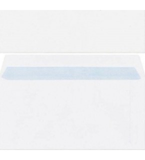 Asil Doğan Buklet Zarf Eco Silikonlu 11.4x16.2 95 gr (1 Adet)