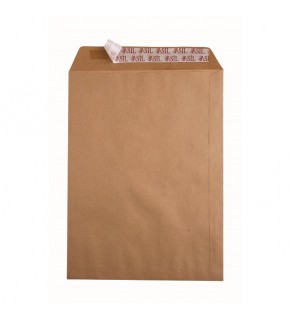 Asil Doğan Torba Zarf Eco Çaycuma Silikonlu 17x25 125 GR AS-0910 (1 Adet)