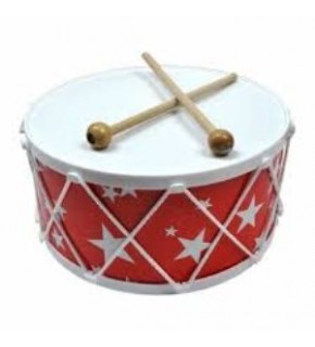 Aslan Renkli Davul Asl-08