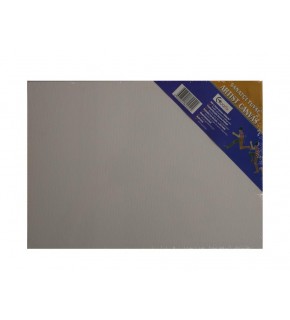 Bafix Çerçeveli Tuval 25x35