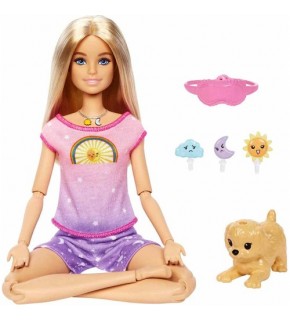 Barbie Meditasyon Yapıyor Oyun Seti HHX64