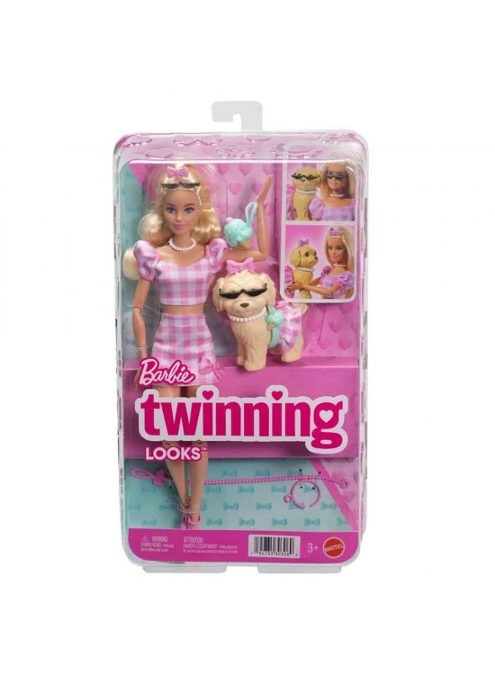 Barbie Uyumlu Dostlar - Fiyonk Teması