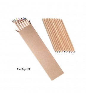 BAŞYAYLA 12Lİ TAM BOY BOYAMA SETİ
