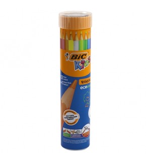 Bic Kuru Boya Evolution Metal Tüp 12+1 958191