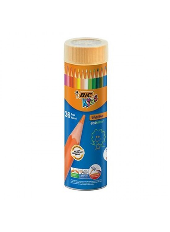 Bic Kuru Boya Evolution Metal Tüp 36 LI 968491