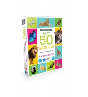 Blue Focus İlk 50 Kart Hayvanlar