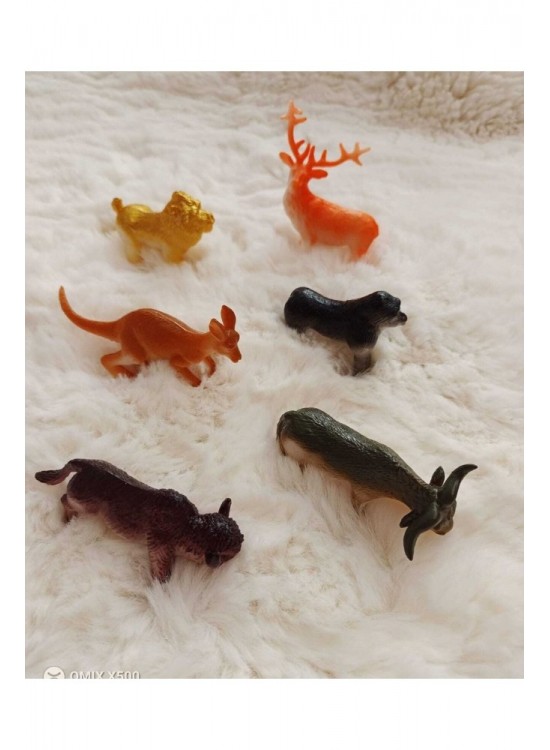 Can-Em Oyuncak Vahşi Hayvanlar Küçük 6 Lı 888A-10-11