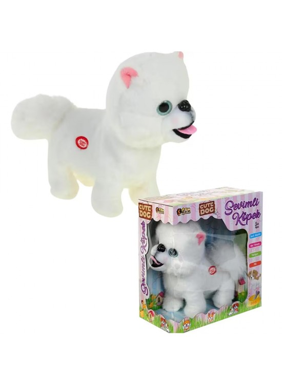 Can Oyuncak Kutulu Pilli Sesli Köpek